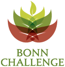 Bonn Challenge